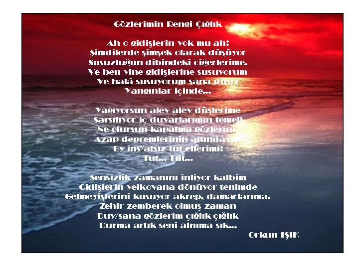 Resimli-G%C3%B6zlerimin-Rengi-%C3%87%C4%B1%C4%9Fl%C4%B1k-%C5%9Eiiri.png